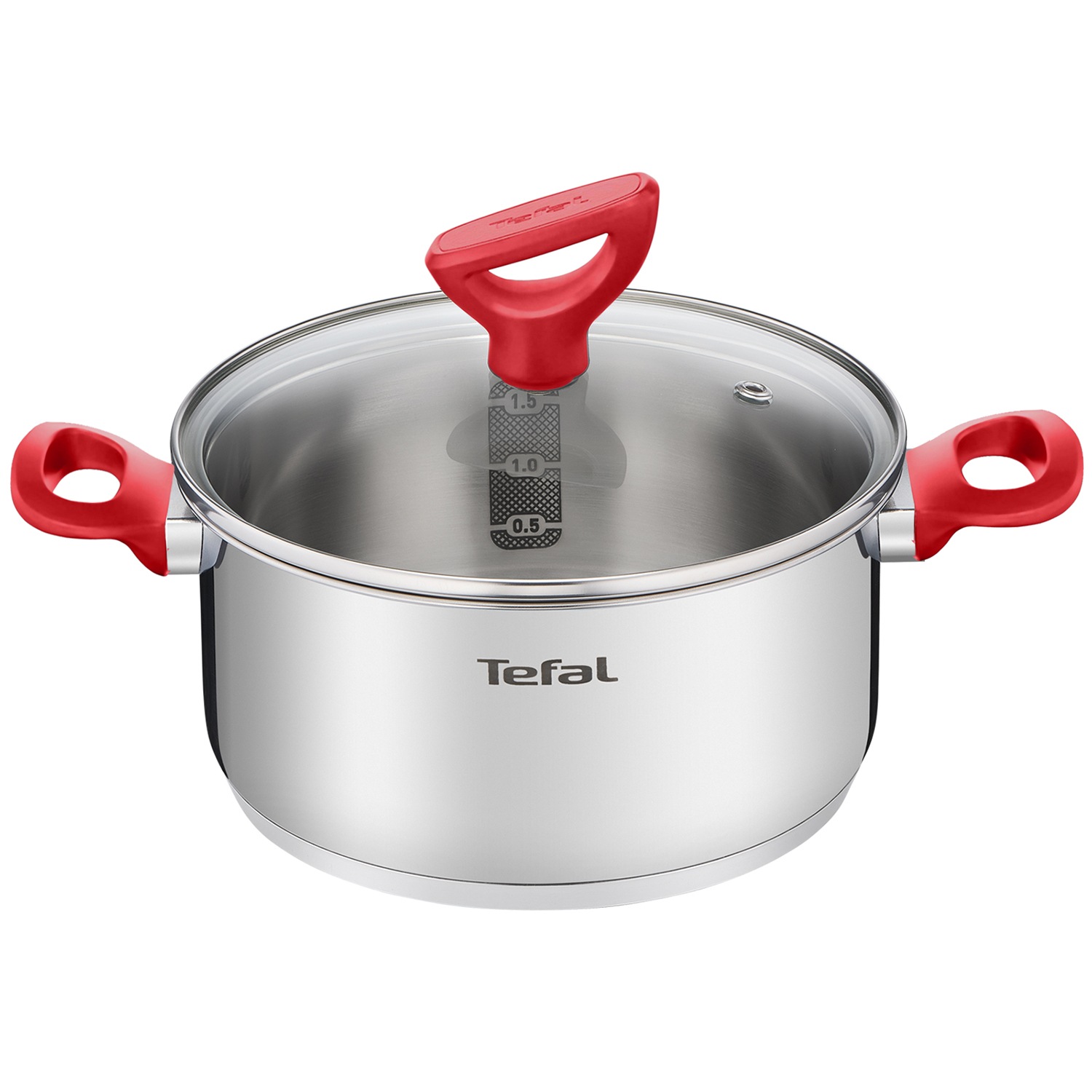 エディションレッド ステンレススチール IH調理器対応 シチューポット (24cm, 5.0L) PFOAフリー シルバー