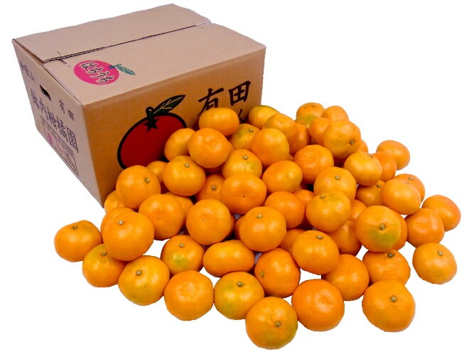 和歌山 有田産 =鉢内みかん= 秀品 L-2Lサイズ 約10kg はちうちみかん 予約 11月末以降