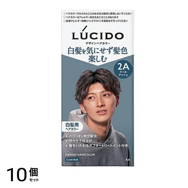 LUCIDO(ルシード) デザインヘアカラー 2A クールアッシュ 1組入 10個セット