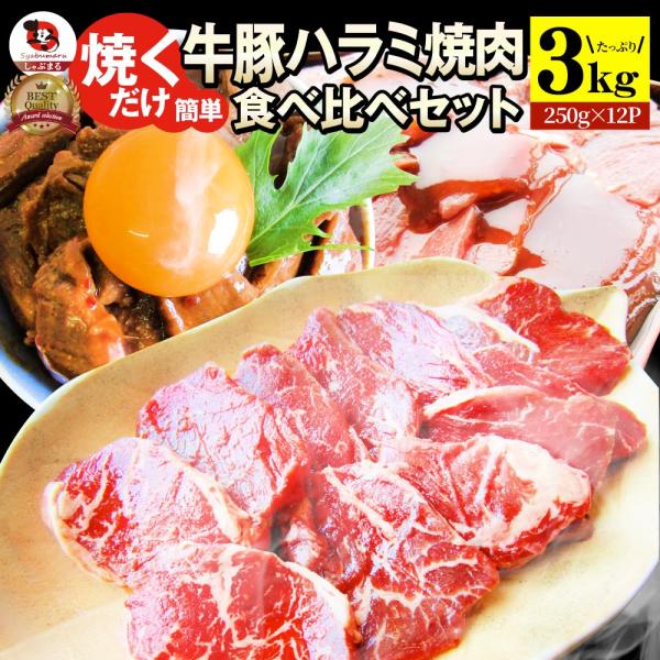 ハラミ 食べ比べ 牛肉 豚肉 焼肉 3kg 250g× 12P メガ盛り 赤身 はらみ バーベ キュー 美味しい お中元 ギフト 食品 プレゼント 女性 男 性 お祝い