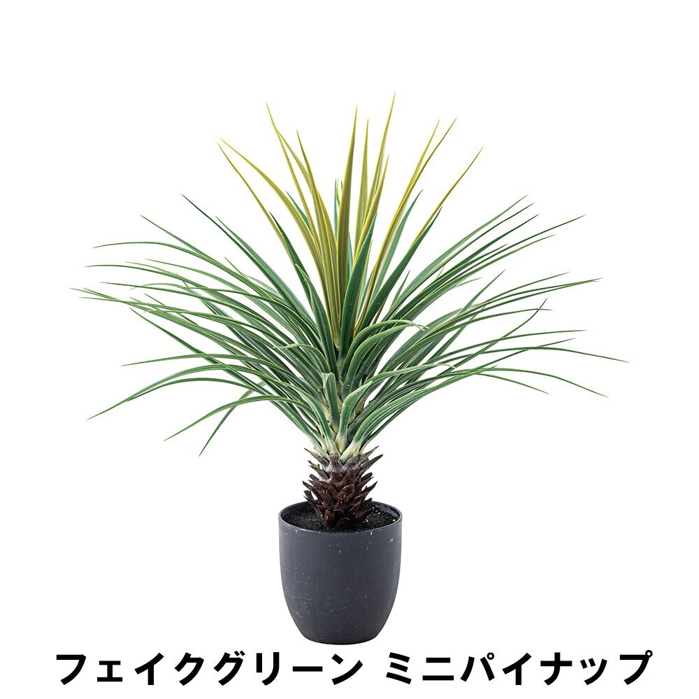 フェイクグリーン ミニパイナップル 幅61 奥行61 高さ67cm 造花 人工観葉植物 ガーデン