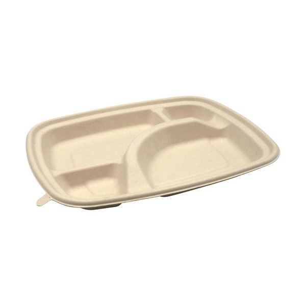 （まとめ）BB竹バガス弁当 N24-20A ラミ 237x197x高さ25mm （50枚）[x3]