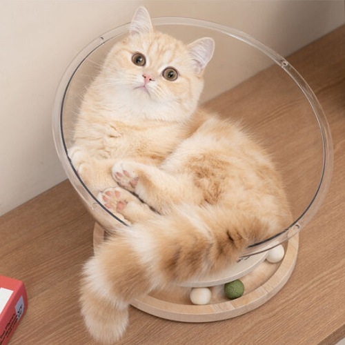 ( 30cm / Small / 3kg )