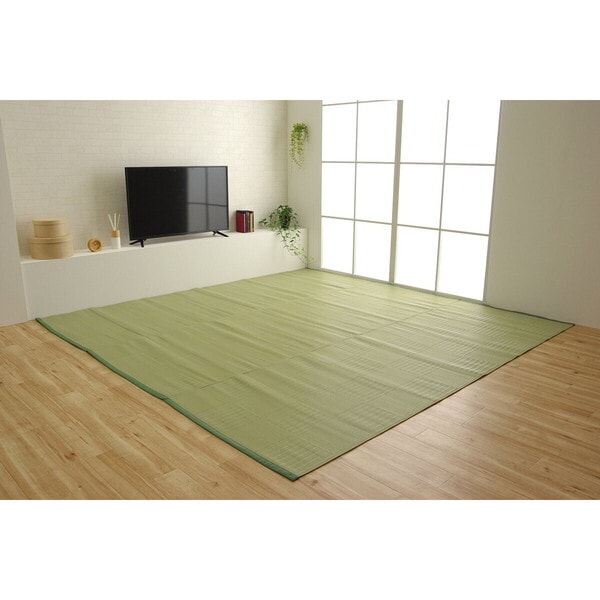 1090610120902 ラグ 洗える カーペット 日本製 国産 抗菌 防臭 消臭 アウトドア レジャー 敷物 和室 シンプル グリーン 江戸間2畳(約174×174cm) メーカー直送