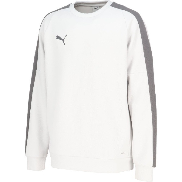 PUMA プーマ PUMA VOLTAGE スウェット トップ サッカー スウェットトレーナーメンズ 660910-33