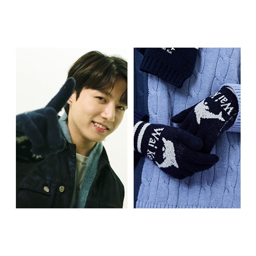 [BTSジョングク着用] ドルフィンロゴグラフィック手袋 ネイビー/防弾少年団ファッション 韓国人気ファッション