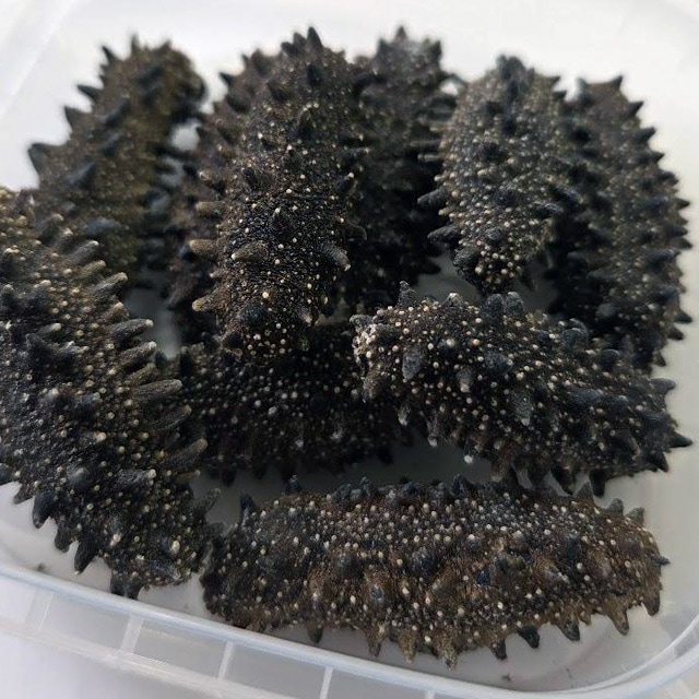 北海道産 天然乾燥ナマコ【特撰A級品】L-Mサイズ300g（約36-60個入） 北海黒ダイヤ