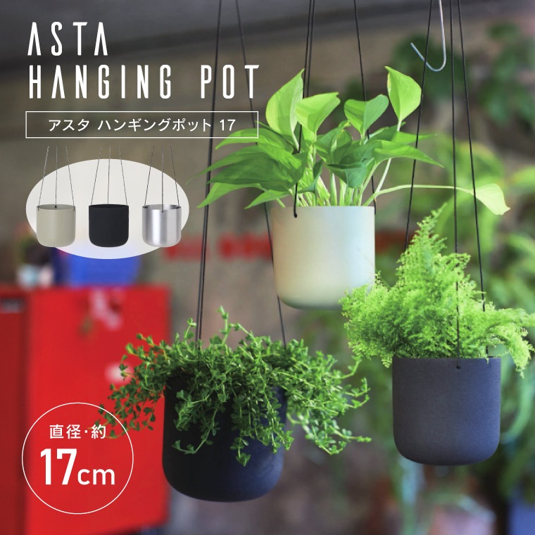 ハンギングプランター FARM アスタハンギング 17 吊り下げ プランター 鉢 ハンギングポット 深型 5号 メタル製 おしゃれ かっこいい 鉢カバー 室内 屋内 吊り鉢 観葉植物用 紐調整可