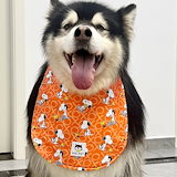 神戸工房 唐草 首輪 M 緑 神戸工房] 唐草 首輪 M 緑 | ペット用品・ペットフードの卸売・仕入は