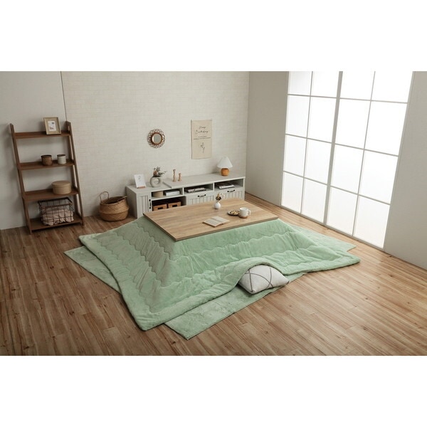 1181670120211 ラピアス 長方形 掛 PGN 190X240 ピスタチオグリーン メーカー直送