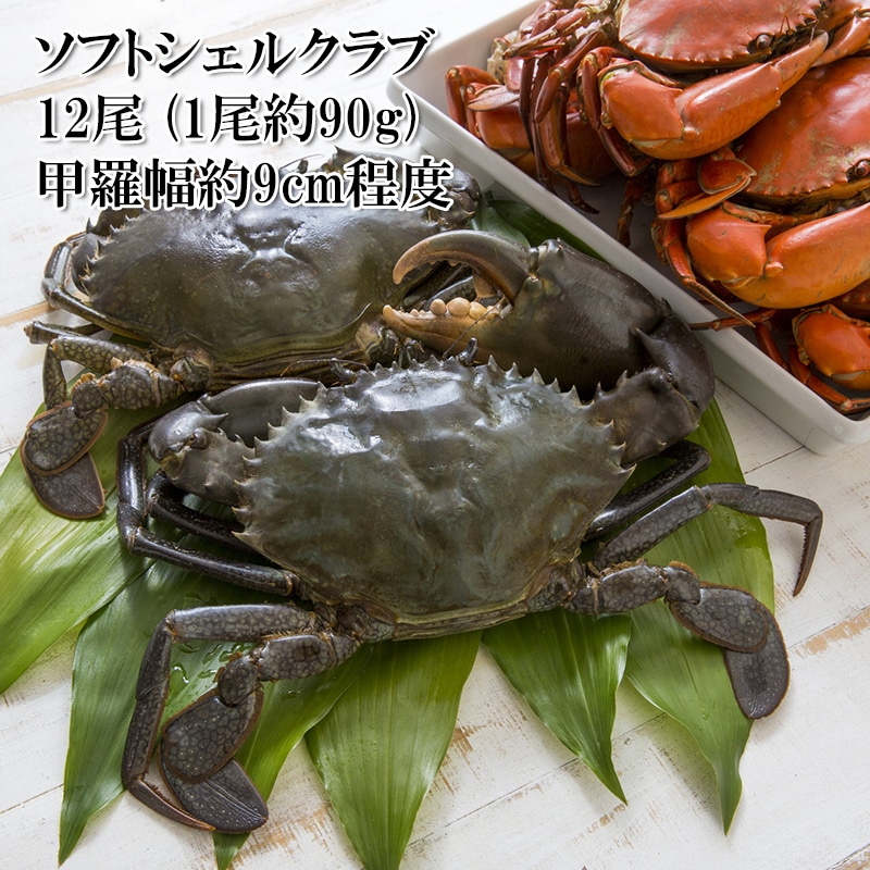 カニ 殻ごと香ばしく食べられる脱皮したての蟹 ソフトシェルクラブ 約90g 12尾 ノコギリガザミ