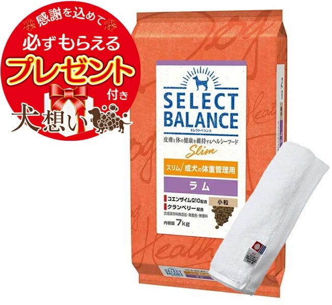 【プレゼント付】セレクトバランス スリム ラム 小粒 成犬の体重管理用 7kg【犬想いオリジナル今治ハンドタオルセット】【タオルカラー ホワイト】【正規品】