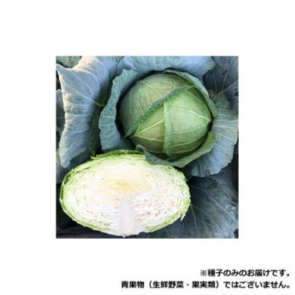 小林種苗 キャベツ種子 藍王 6600 コートL5000粒