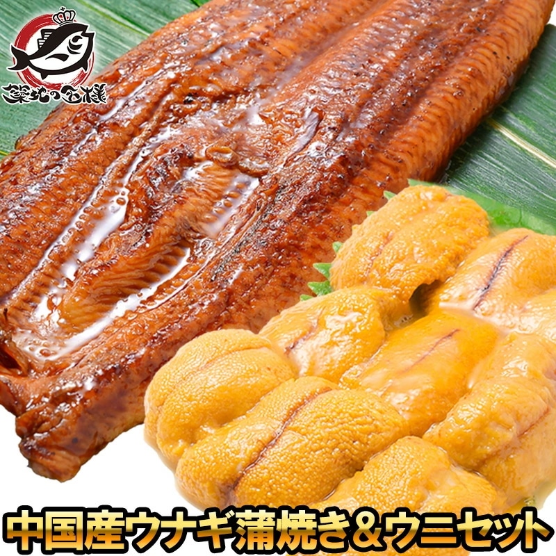 うにうなぎセット 梅 超特大！うなぎ蒲焼き 平均330g前後×2尾 生ウニ 100g タレ付き 柔らかうなぎと生ウニの贅沢セット うなぎ ウナギ 鰻 うな丼 うな重 ひつまぶし 土用の丑 ウニ 5,659円