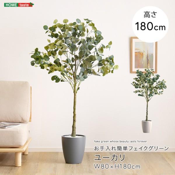人工観葉植物 ユーカリ 高さ180cm Lサイズ フェイクグリーン お手入れ簡単 観賞用造花 観葉植物 室内ガーデン グリーン
