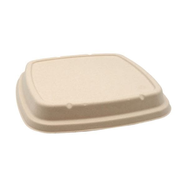 （まとめ）BB竹バガス弁当 N23-23F 共蓋 235x235x高さ18mm （50枚）[x3]