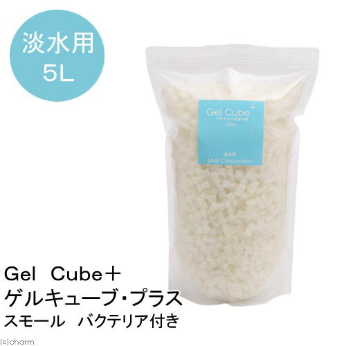 （熱帯魚）Ｇｅｌ　Ｃｕｂｅ＋（ゲルキューブ・プラス）　バクテリア付き　スモール　５リットル　北海道・九州航空便要保温　ＣＲＣ10―03―20―90―00