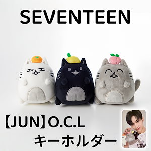 seventeen miniteen