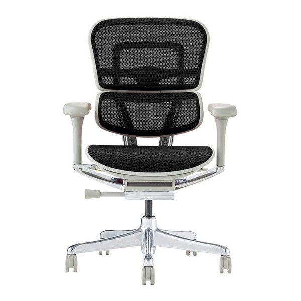 関家具 445421 EHP2-LAM-DR-GF-BK グレーフレーム×ブラック 高機能チェア (エルゴヒューマン プロ2 ロータイプ) メーカー直送