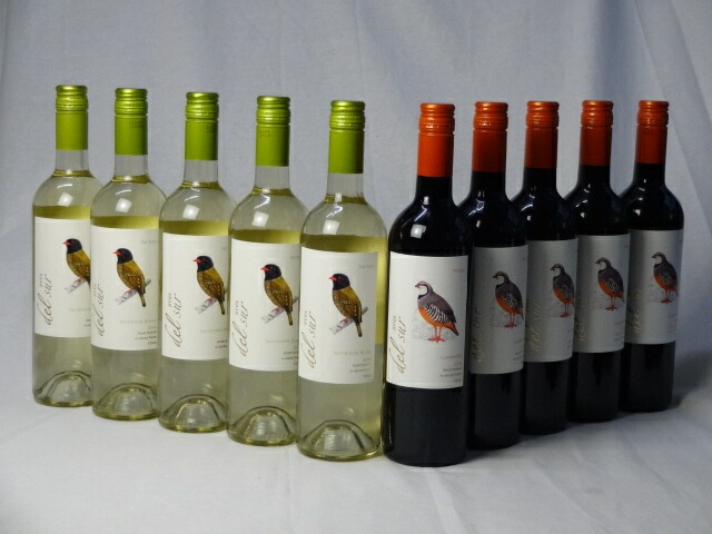チリ白赤ワイン10本セット デルスール カルメネール ミディアムボディ5本 デルスール ソーヴィニ