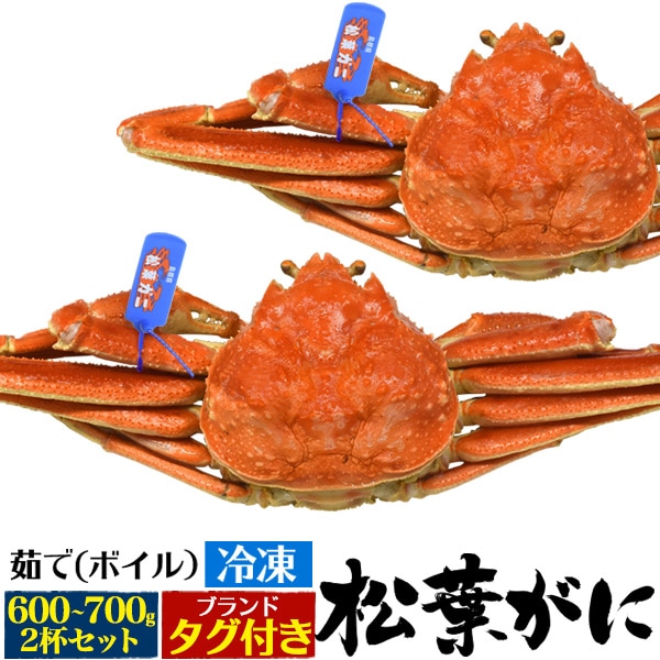 在庫限り 茹で冷凍 松葉ガニ 境港水揚げ 産地証明タグ付き 国産 松葉ガニ 600～700g 2杯 茹で ボイル