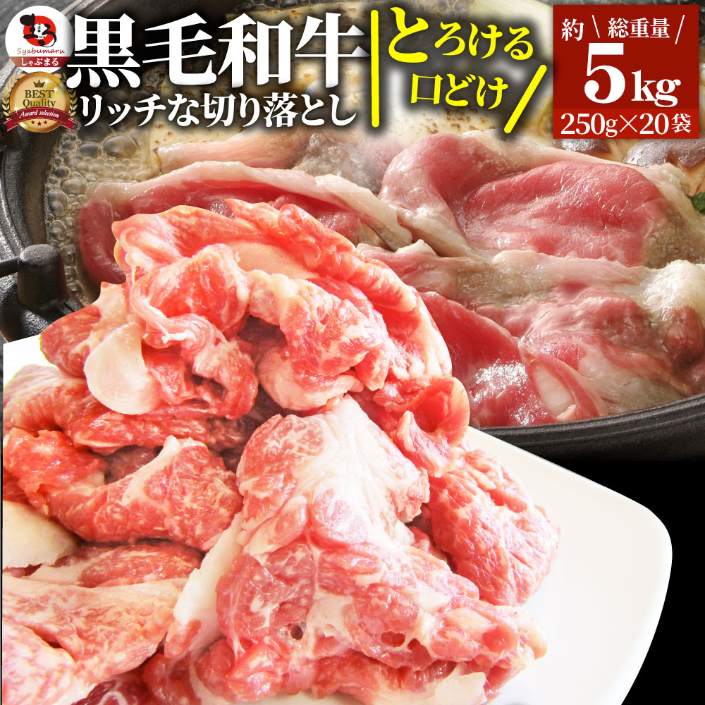 肉 黒毛和牛 贅沢 霜降り 切り落とし たっぷり メガ盛り 5kg プレゼント 和牛 牛肉