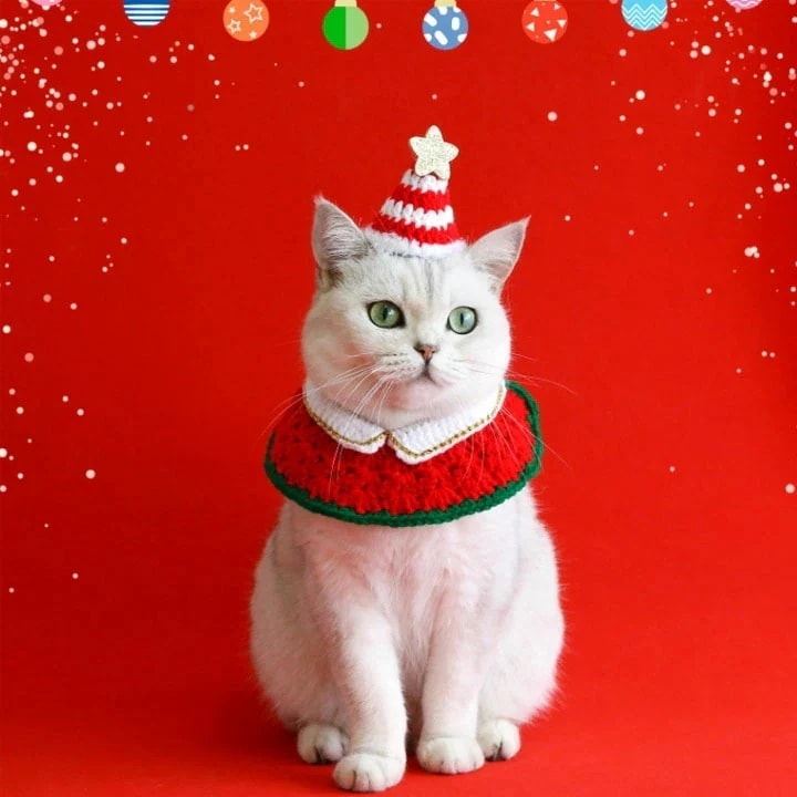 初回限定首輪 猫用 犬用 クリスマス 首輪+帽子 セット 可愛い 帽子 小型犬 可愛い メリークリスマス 中型犬 超小型犬 犬首輪 猫 犬 猫の首輪 ねこ ネコ くびわ 猫用首輪 犬の首輪 ペット用首