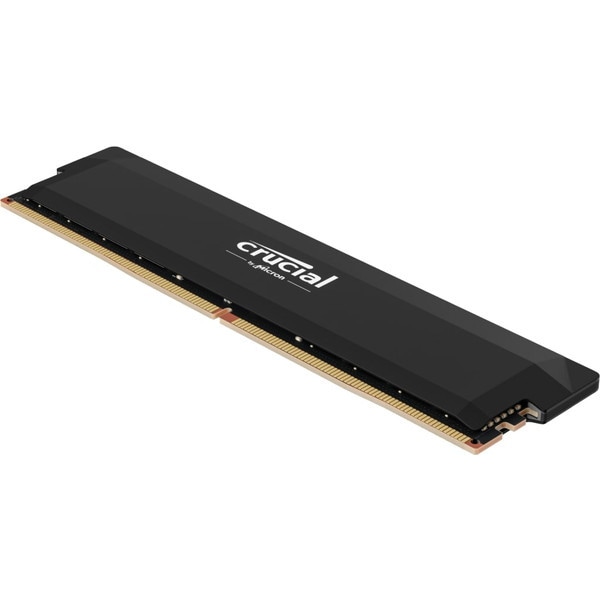 CP16G60C36U5B Pro メモリ (Overclocking 16GB DDR5-6000 UDIMM Black)