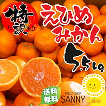 みかん 特に訳あり 愛媛みかん 箱込5.5kg（5kg+保証分500g） 愛媛の農家・青果市場から直送致します！