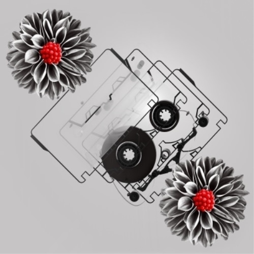 ヒトリエ ／ NOTOK(完全生産限定盤) (CD) AICL-4634