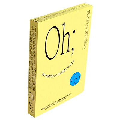 瀬戸焼　古瀬戸　染付　花蝶文　双耳瓶　H　R7183 瀬戸焼 古瀬戸 染付 花蝶文 双耳瓶 H R7183 - メルカリ