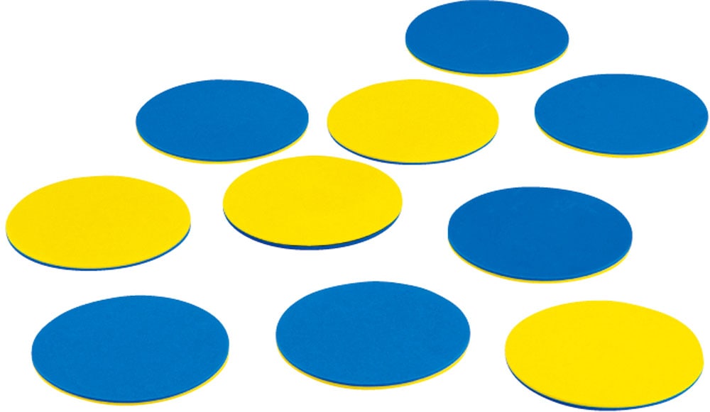 エバニュー Evernew スポーツリバーシ 10枚組 学校器具 器具・備品 ETE095