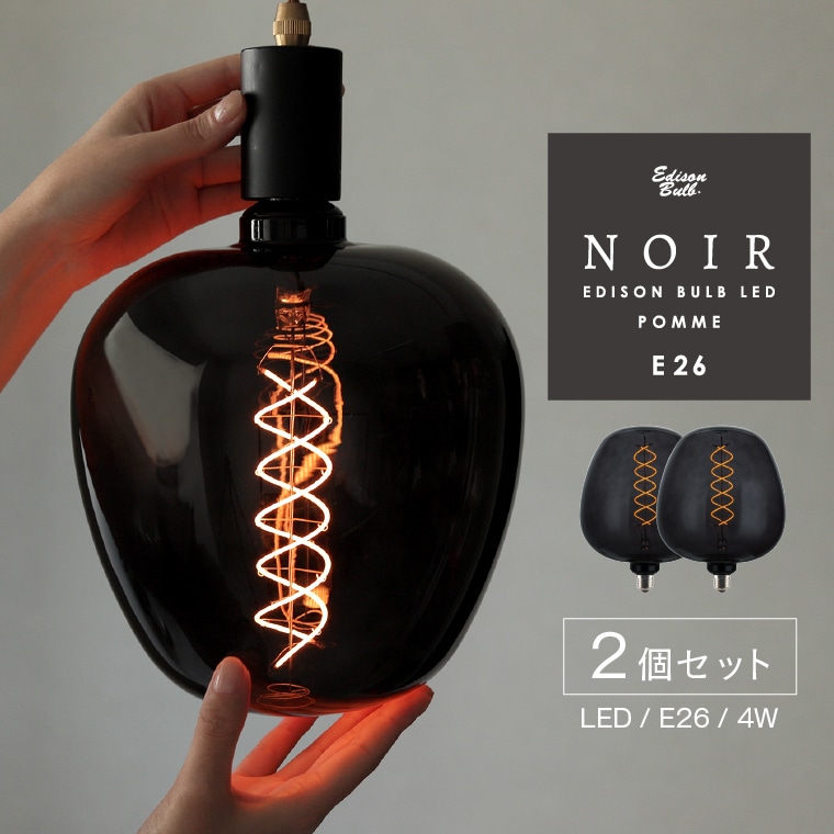 2個セット E26 LED 電球 ノワール ポム POMME 大型 大きめ ビッグサイズ LED電球 調光器対応 インパクト 珍しい ボール球 エジソンバルブ LED NOIR ブラック ガラス 黒い