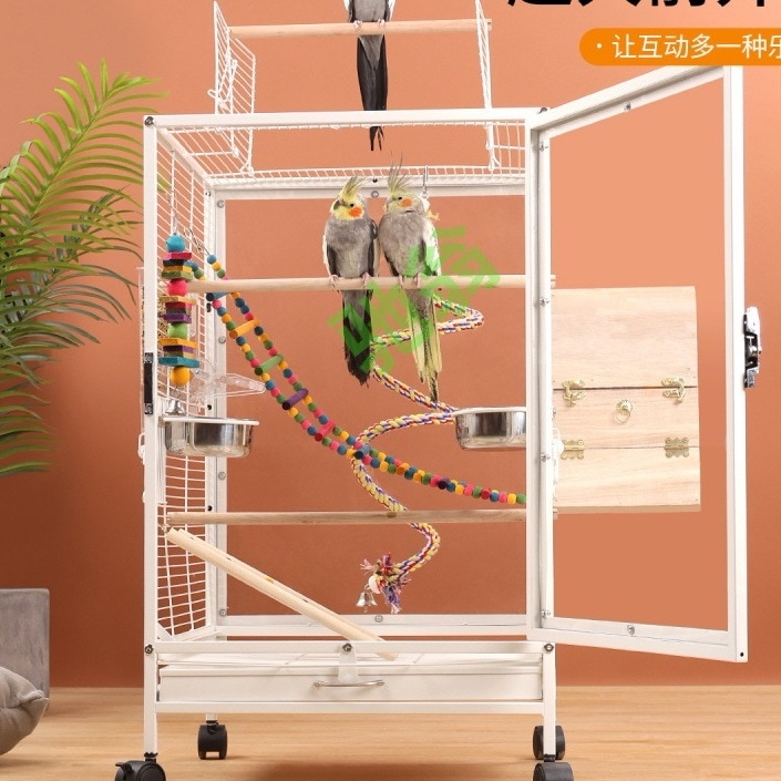 【本日限定激安格】クリアアクリル鳥かご 複数飼い大型インコ ケージ セキセイインコゴザクラインコオカメインコ鳥籠 Ｗ46×Ｄ46×Ｈ77cm(外寸)