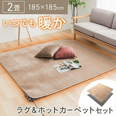 Qoo10] 電気カーペット カバー付き 2帖用 TE
