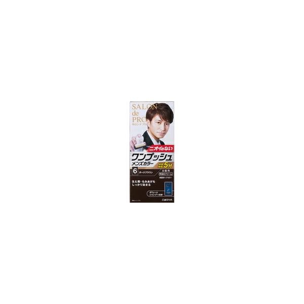 10個セット/サロンドプロ ワンプッシュメンズカラー 6 ダークブラウン[ダリヤ]