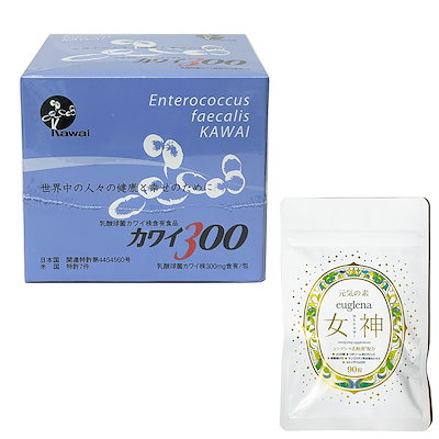 廃盤】 映像・中村天風 DVD BOX （4枚） 中村天風 【公式通販】