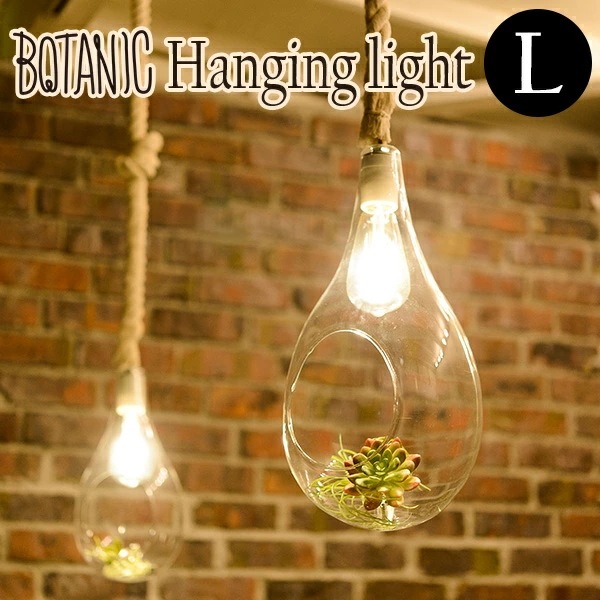BOTANIC　HANGING　LIGHT　L　ボタニック　ハンギングライト　APEー020WH／スワン電器送料無料