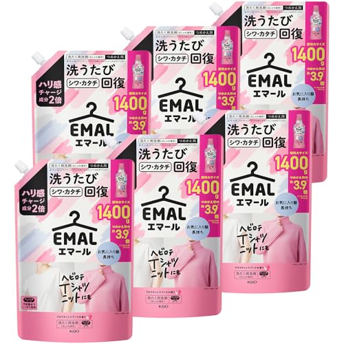 エマール 【ケース販売】 洗濯洗剤 おしゃれ着 ハリ感チャージ成分2倍配合! 洗うたびシワカタチ回復 アロマティックブーケの香り つめかえ用 1