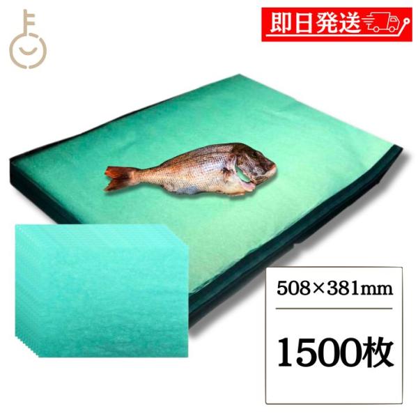 グリーンパーチ 4切り 1500枚 508×381mm キッチンペーパー ペーパータオル 半分折り コンパクト 浜田紙業 魚を包む緑の紙 魚 緑の紙 グリーンパーチ紙
