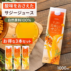 豊潤サジー3個セット フィネス 豊潤サジー 1000ml×3本（おまけ付き）