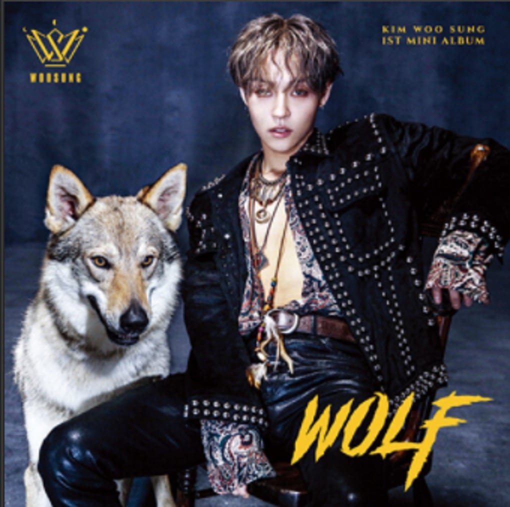 KIM WOOSUNG ミニ1集 [WOLF] 未開封 / 김우성 KIM WOO SUNG