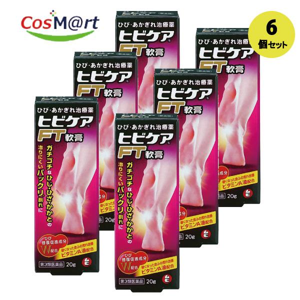 【6個セット】 【第3類医薬品】 【株式会社池田模範堂】ヒビケアＦＴ軟膏　20ｇ(4987426002244-6)
