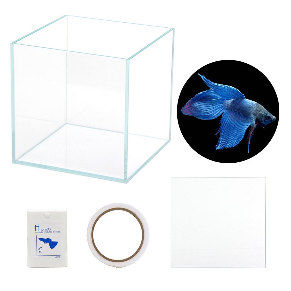 （熱帯魚）ベタ飼育セット　ガラス水槽　トラディショナル　青系　お一人様５点限り　本州四国限定　ＣＲＣ13―08―10―00―00