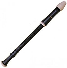 トヤマ楽器 AULOS(アウロス)ロビン テナーリコーダー バロック式 211A(E)