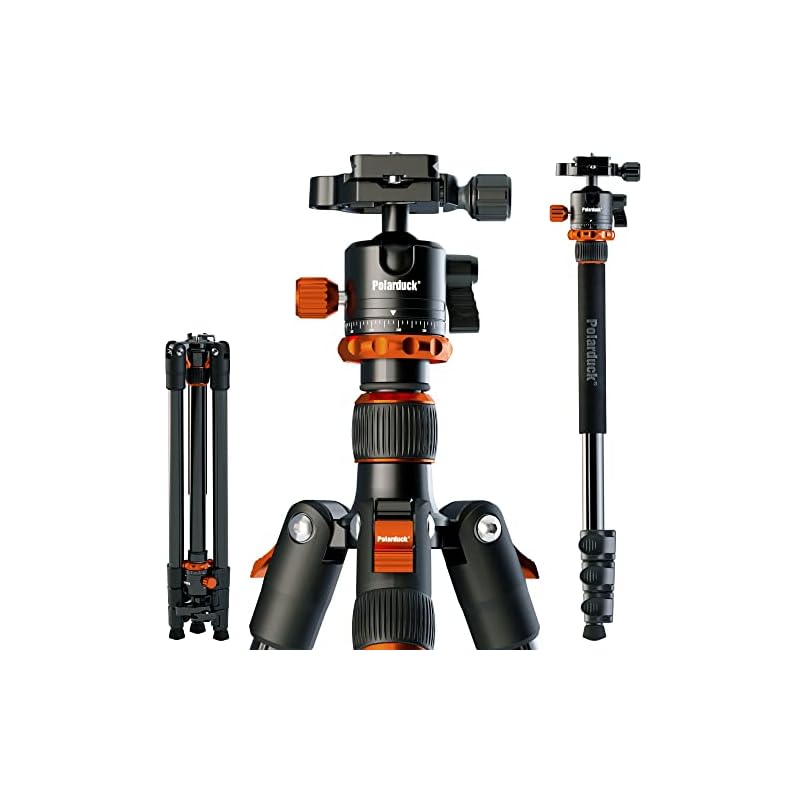 北極ダック カメラ三脚 一脚 一眼レフ スマホ三脚: 全高165cm 一脚伸縮可変式 5段階伸縮 自由雲台 360度回転可 携帯電話ホルダー付き - 運動会 登山 野外撮影用 持ち運びに便利です