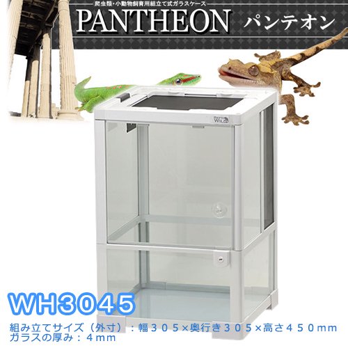 爬虫類ケージ　三晃商会　パンテオン　ホワイト　ＷＨ３０４５　お一人様２点限り　ＣＲＣ17―15―05―30―00
