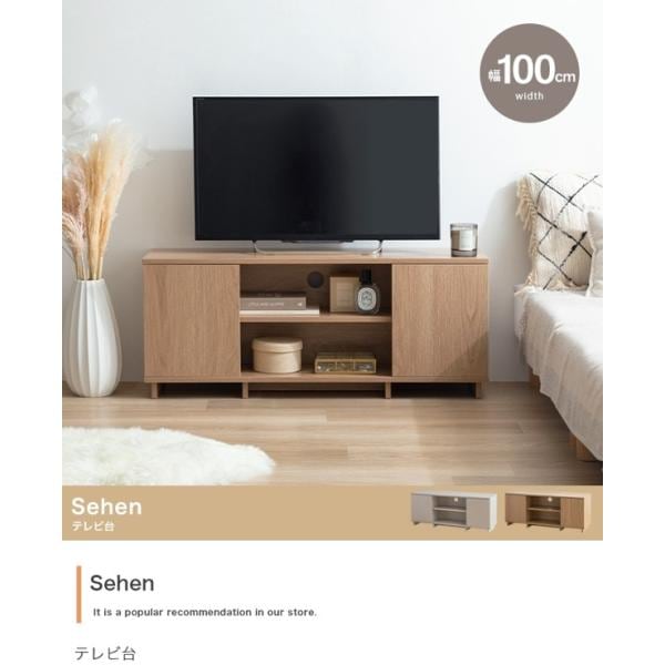 テレビ台 19インチ 32型 まで推奨 ロータイプ おしゃれ 幅100 木製 コンパクト 収納 棚 北欧 テレビボード TV台 26V グレージュ 新生活 Sehen ID003