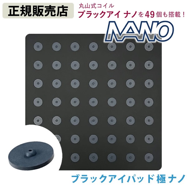 ブラックアイパッド極 ナノ (送料無料) 丸山修寛先生監修 電磁波 対策 防止 丸山式 ブラックアイ ブロック ブロッカー