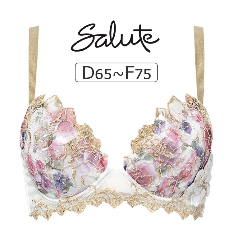 ワコール サルート 17G ブラジャー単品 Real Up Bra DEFカップ アンダー65/70/75cm BTJ717